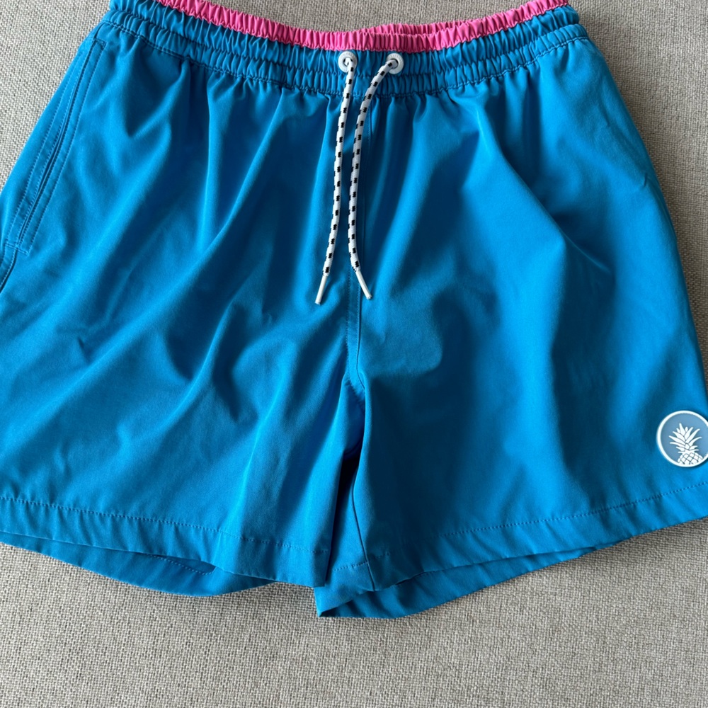 Chubbies worn ONCE